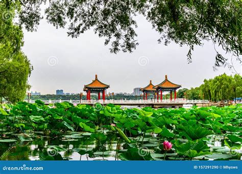 Nanhu Park: A Lush Oasis Where History Whispers and Nature Soars!