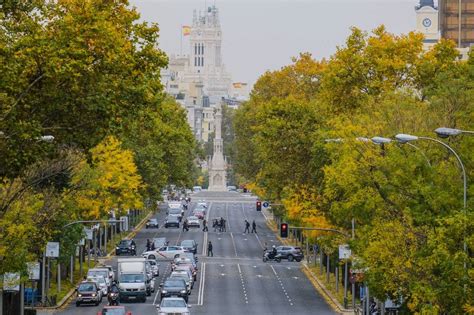 El Paseo de la Castellana: A Verdant Oasis Amidst Madrid's Bustling Energy!