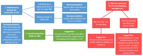 enoxaparin labs to monitor: Navigating the Labyrinth of Anticoagulation Therapy