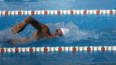 How Many Laps is a Good Swim Workout? And Why Do Fish Never Get Tired?