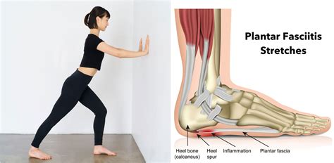 How to Stretch Plantar Fascia and Achilles Tendon: A Journey Through Flexibility and Beyond