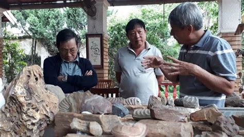 Jinchang City Museum Unearths History and Intrigue!