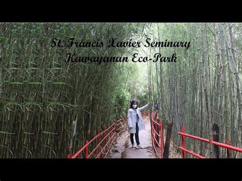 Kawayanan Eco-Park: Majestic Bamboo Groves and Tranquil Nature Escapes!