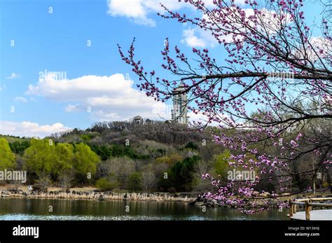  Mudanjiang's Jingyuetan National Forest Park: A Tranquil Oasis for Hiking and Wildlife Spotting!