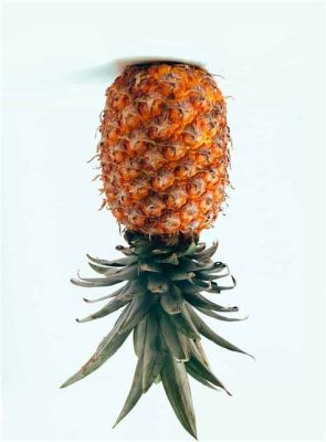 The Upside-Down Pineapple: A Surreal Playground for Imagination in Penang