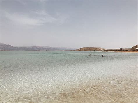 Why is the Dead Sea so salty and full of minerals? And why do flamingos refuse to swim in it?