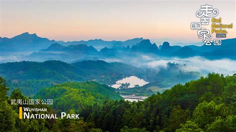 Wuyishan National Nature Reserve: A Scenic Wonderland Steeped in History and Mythical Charm!