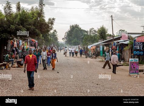 Yirgalem Market: A Sensory Explosion of Ethiopian Culture and Flavors!