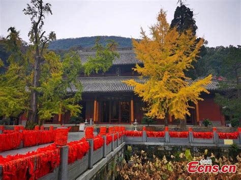  Yuquan Temple: A Serene Oasis of History and Natural Beauty